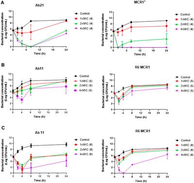 Discovery of new antimicrobial thiophene derivatives with activity against drug-resistant Gram negative-bacteria